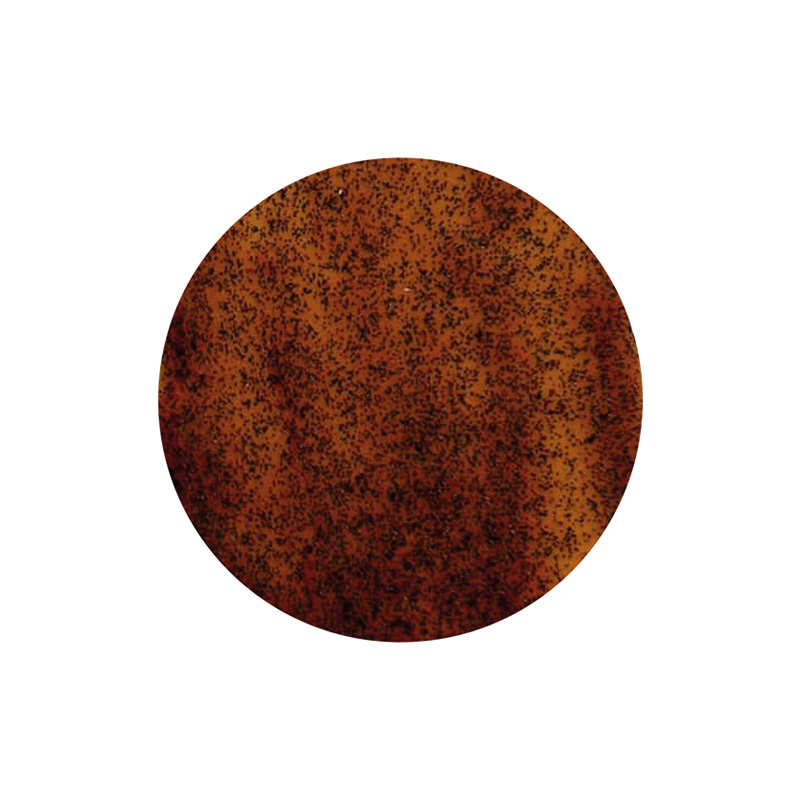 PASTA DE VAINILLA BOURBON DE MADAGASCAR 500g 1